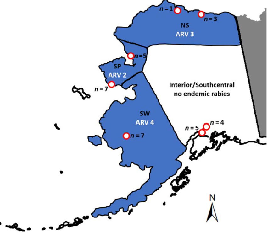 Development of a genotype‐by‐sequencing immunogenetic assay as exemplified by screening for variation in red fox with and without endemic rabies exposure