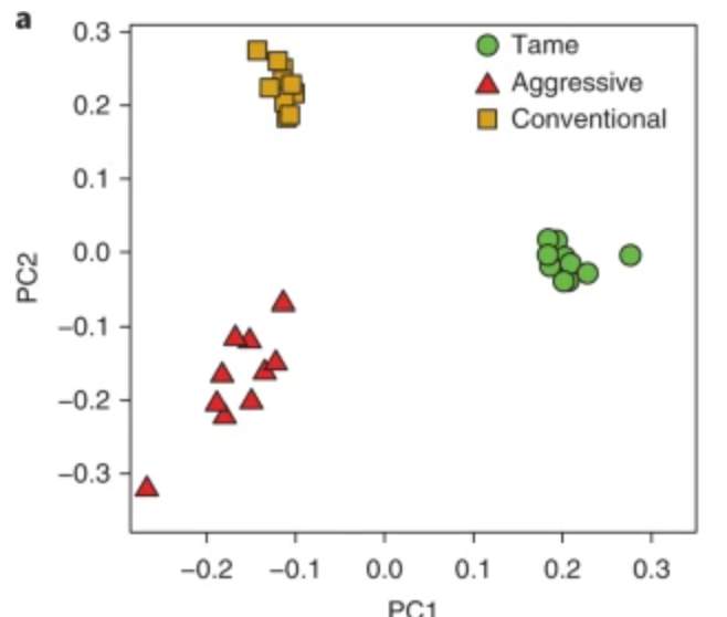 Red fox genome assembly identifies genomic regions associated with tame and aggressive behaviours