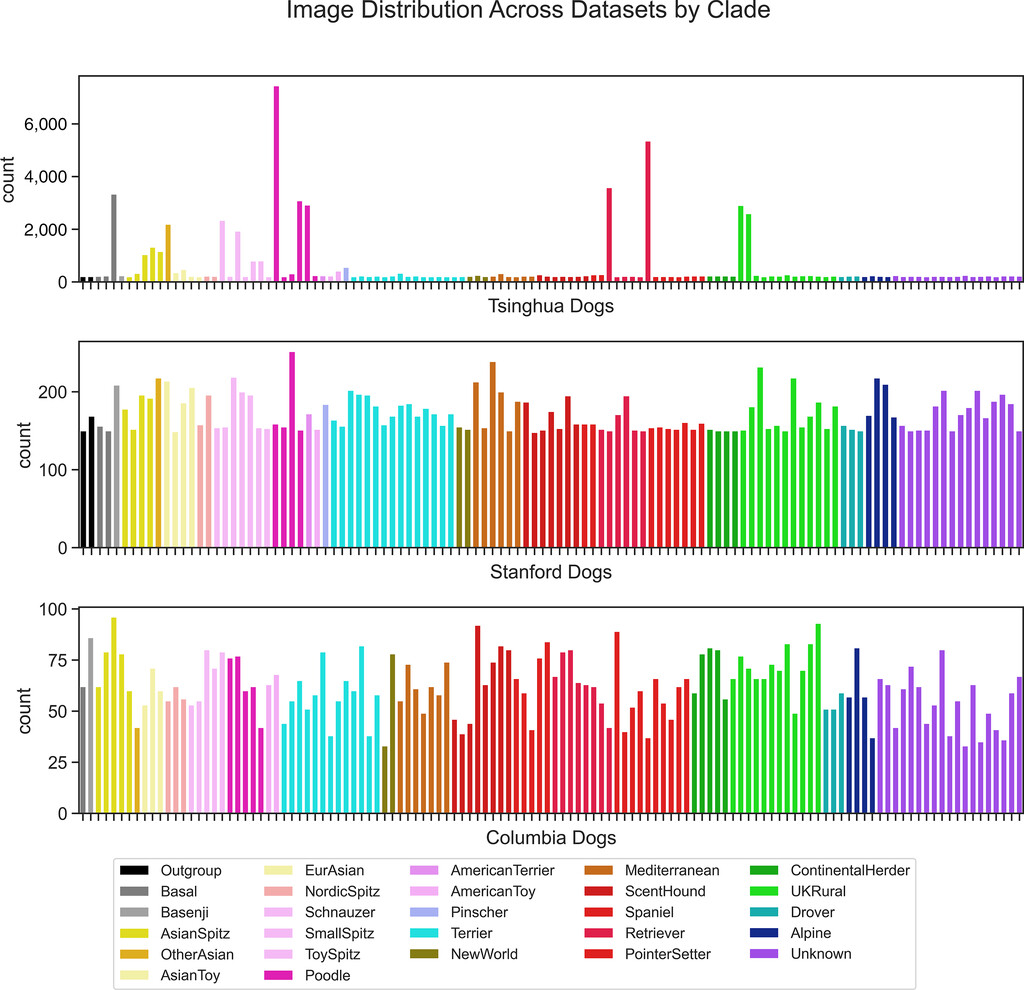 Standardizing canine breed data in veterinary records is challenging, but computer vision offers an alternative perspective on breed assignment