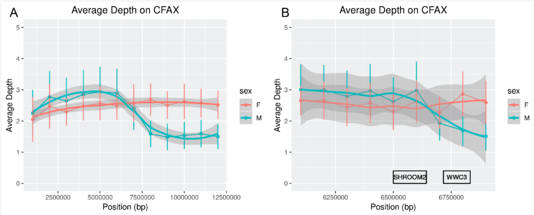 The Red Fox Y-Chromosome in Comparative Context