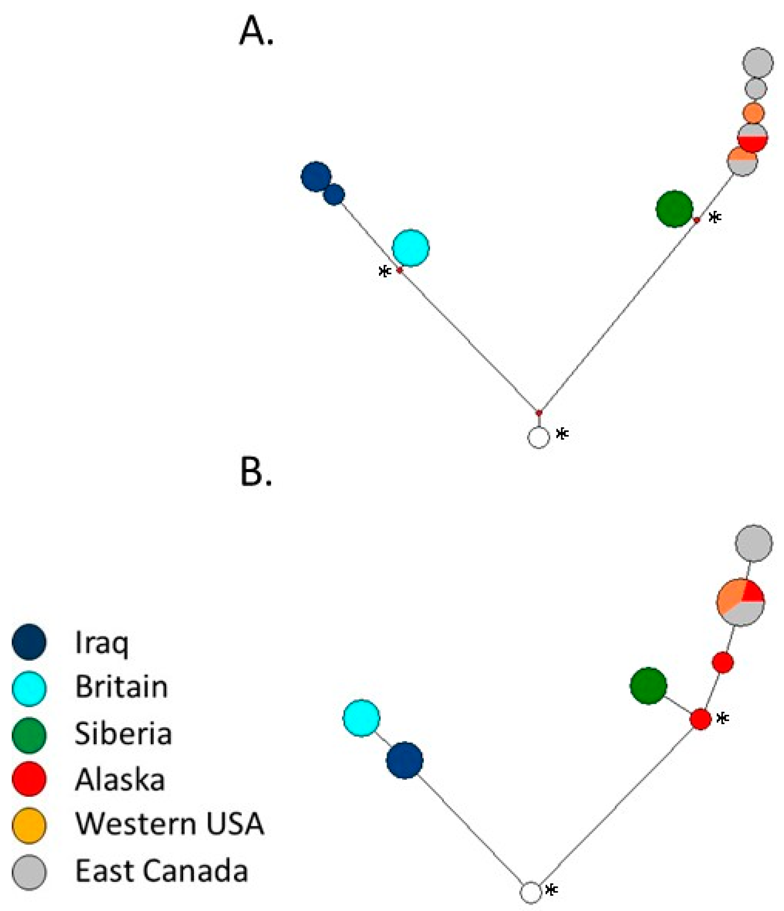 Sequencing Red Fox Y Chromosome Fragments to Develop Phylogenetically Informative SNP Markers and Glimpse Male-Specific Trans-Pacific Phylogeography